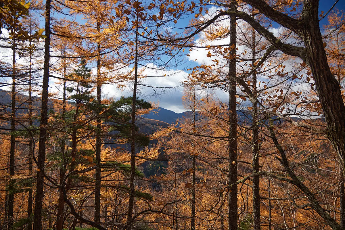 五郎山登山 遠くの山も見えるようになった