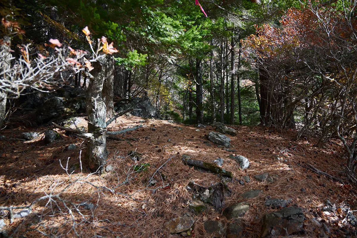五郎山登山 急斜面の終わり