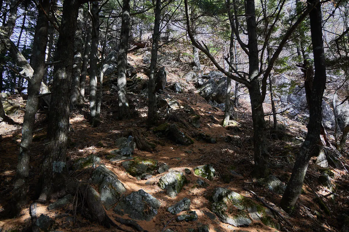 五郎山登山 尾根を巻くようにして東側へ