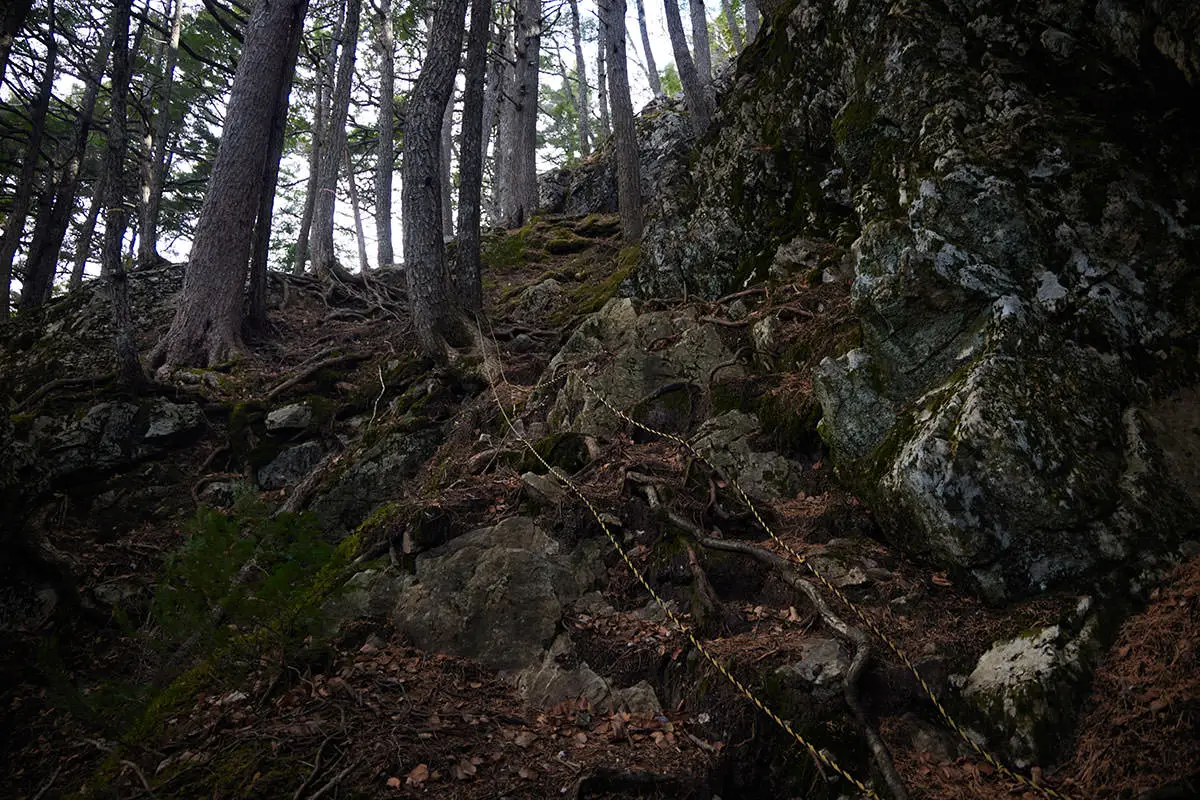 五郎山登山 岩の段差を登って尾根の上へ