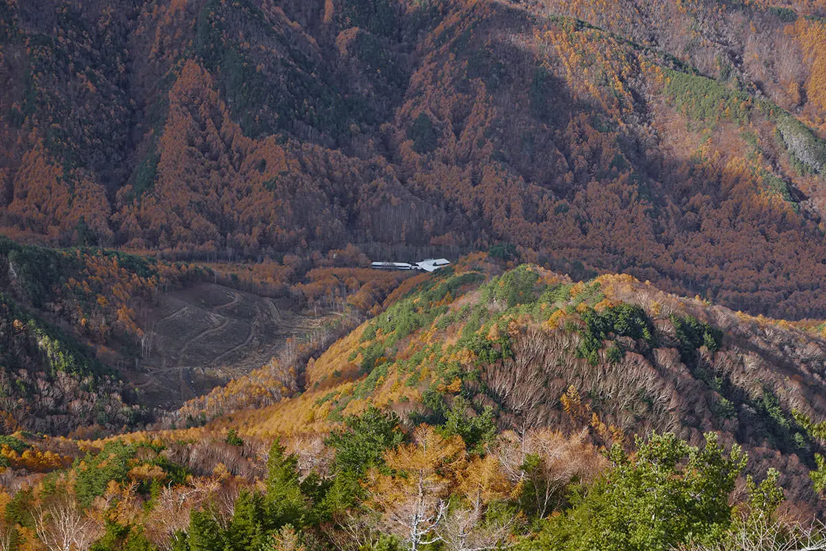 五郎山登山 スタートして町田自然休暇村が見える