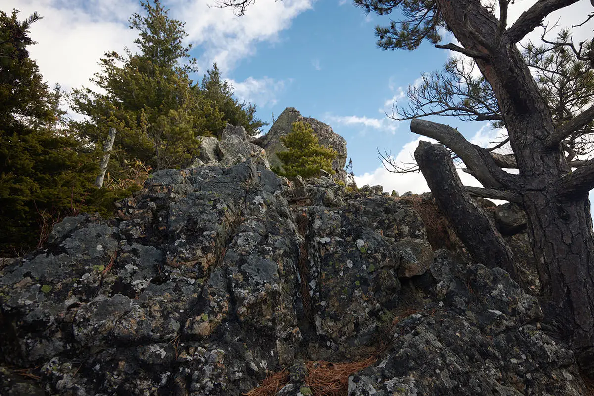 五郎山登山 マキヨセの頭から岩を登る