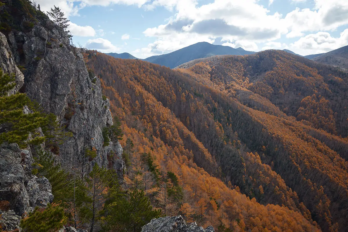 五郎山登山 甲武信ヶ岳の方だけど見えない