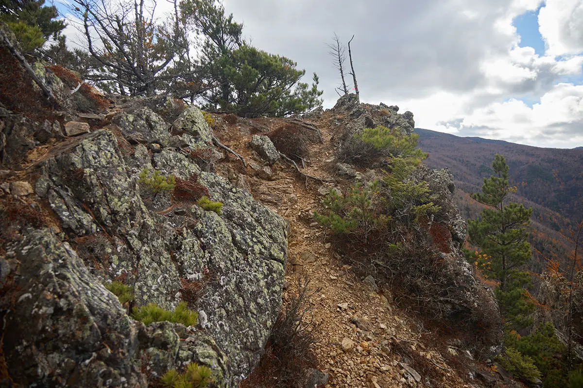 五郎山登山 一番高いところ
