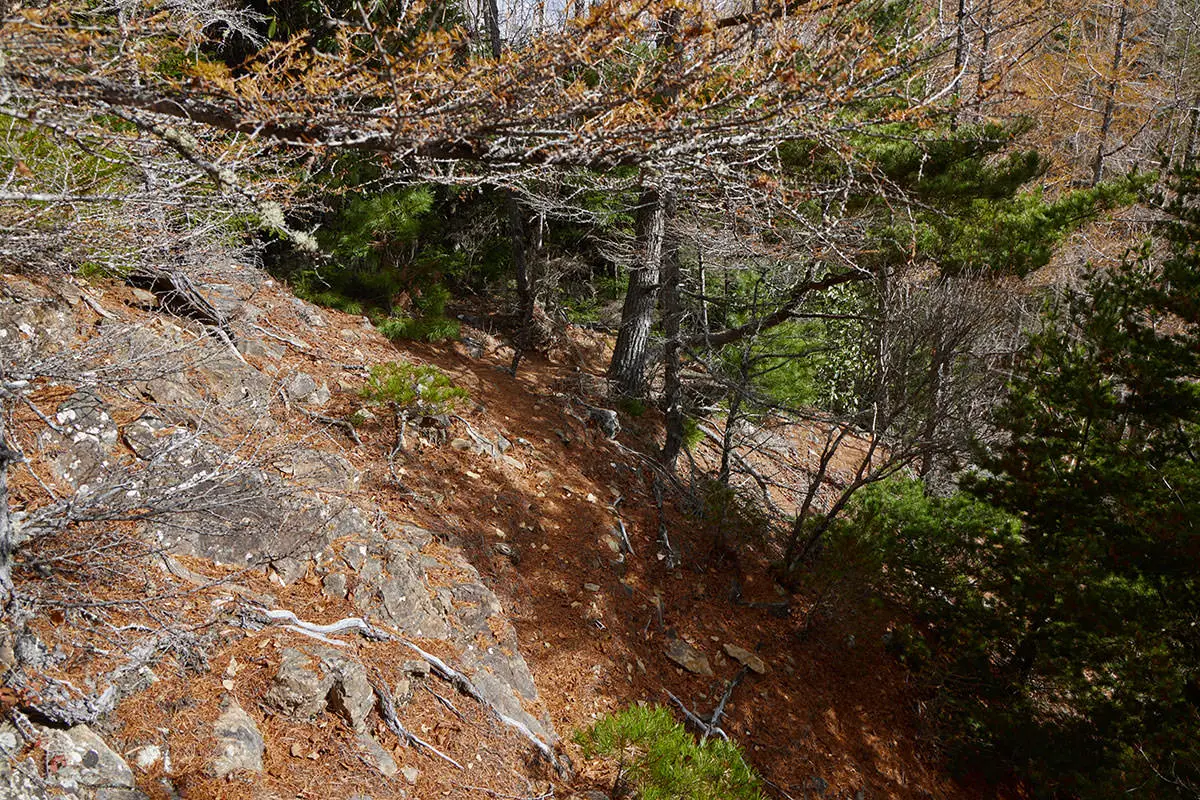 五郎山登山 いったん下りる