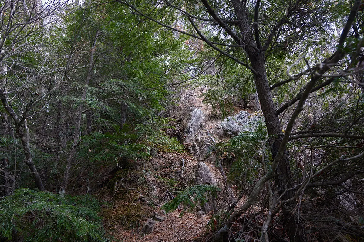 五郎山登山 P2への登り返し