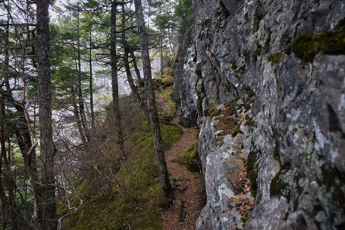 五郎山登山 P2の上へは行かずに肩を歩く