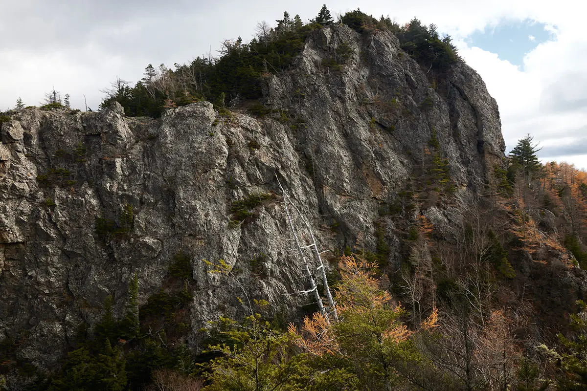 五郎山登山 五郎山の山頂が間近に