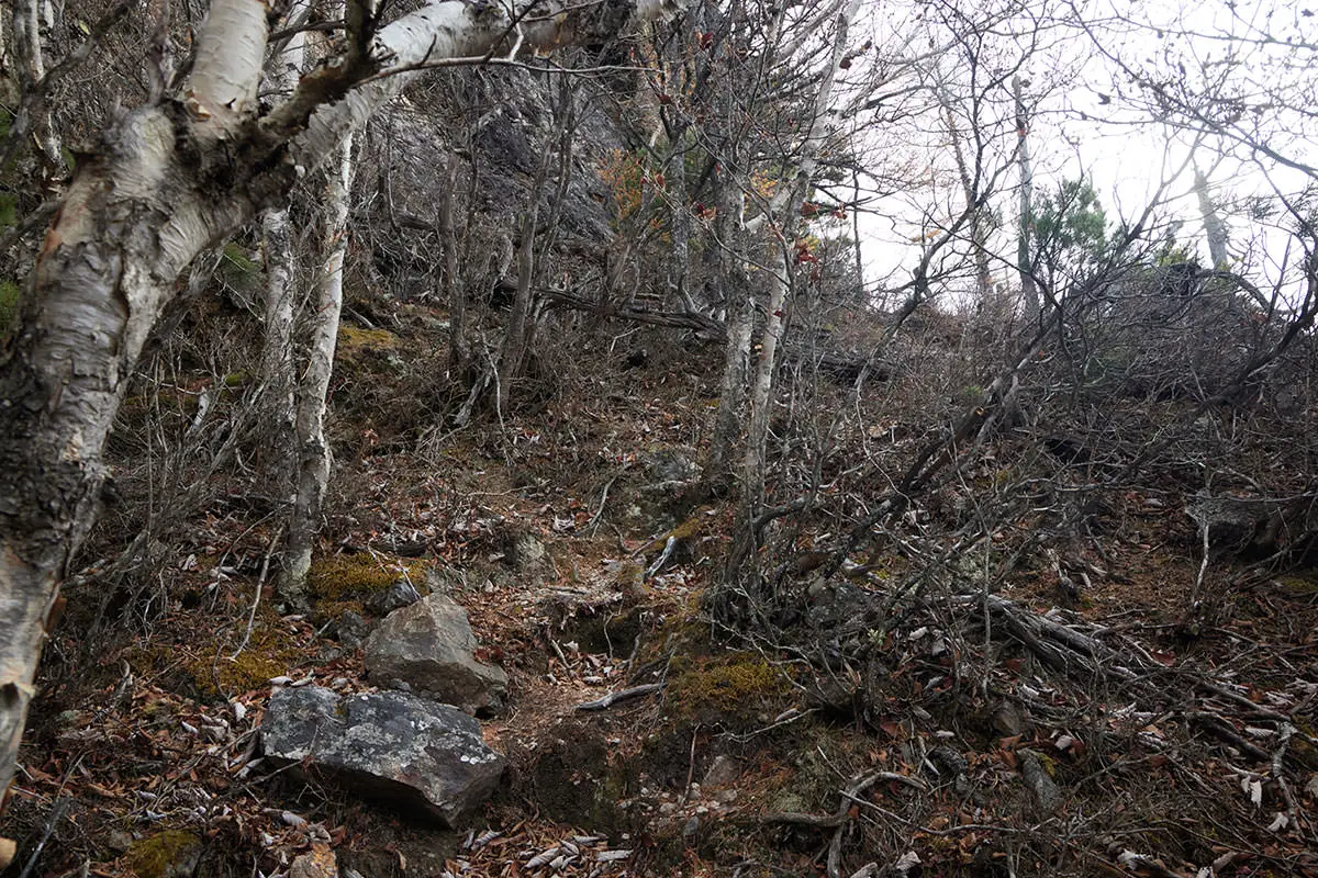 五郎山登山 ここから山頂へ登り返す