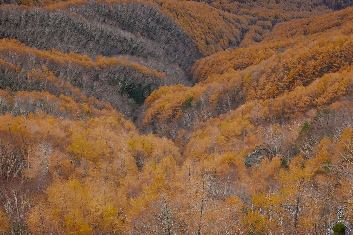 五郎山登山 右下に見える大きな岩がゴリラに見えて