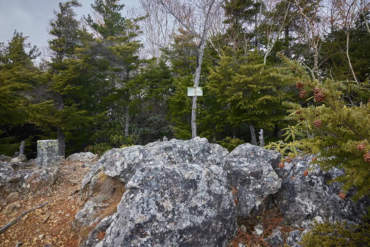 五郎山登山 五郎山に着いた