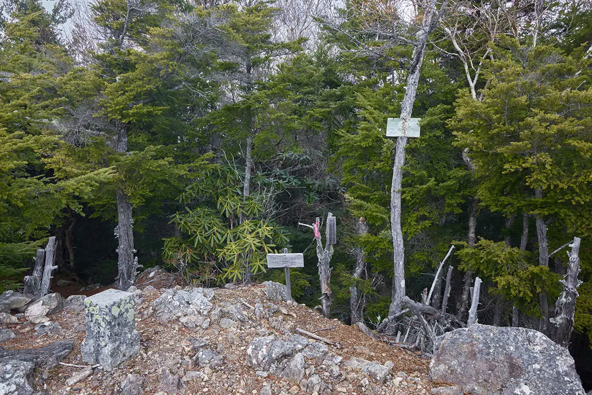 五郎山登山 掠れた山頂標