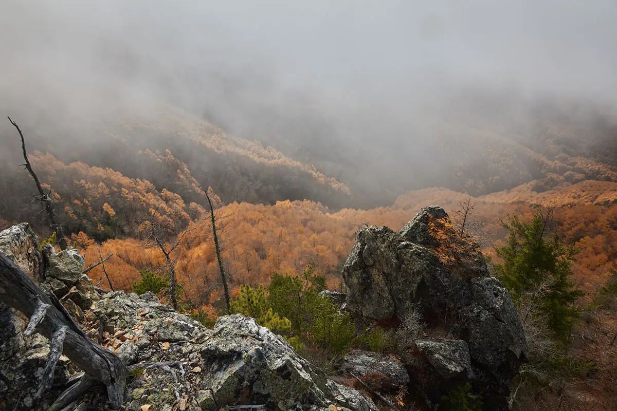 五郎山登山 下の方まで雲