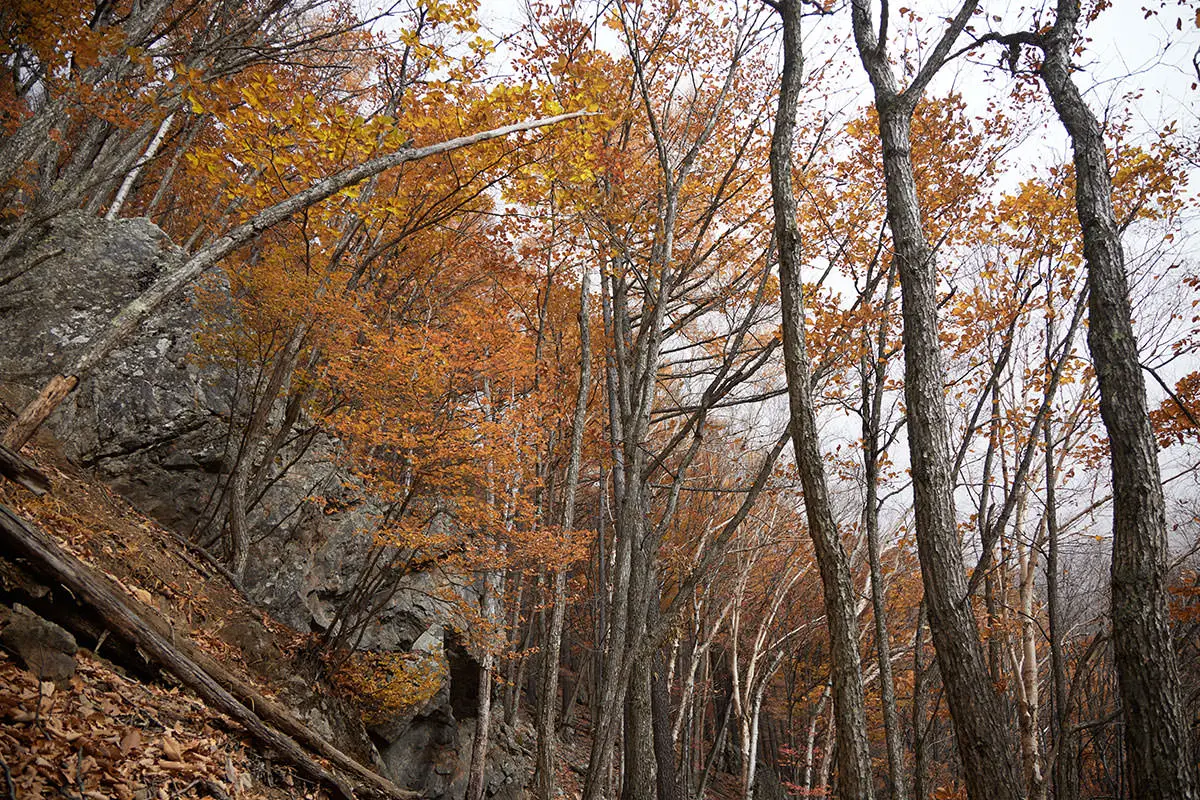 五郎山登山 巨石の場所も華やか