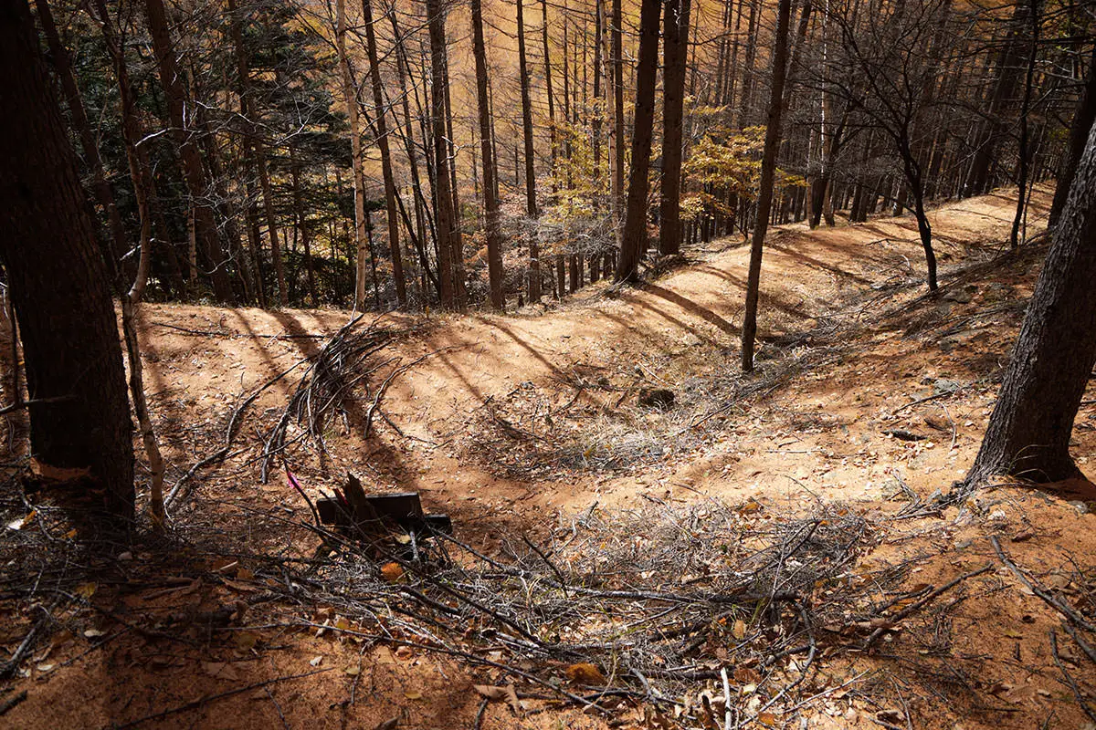 五郎山登山 登山口に着いた