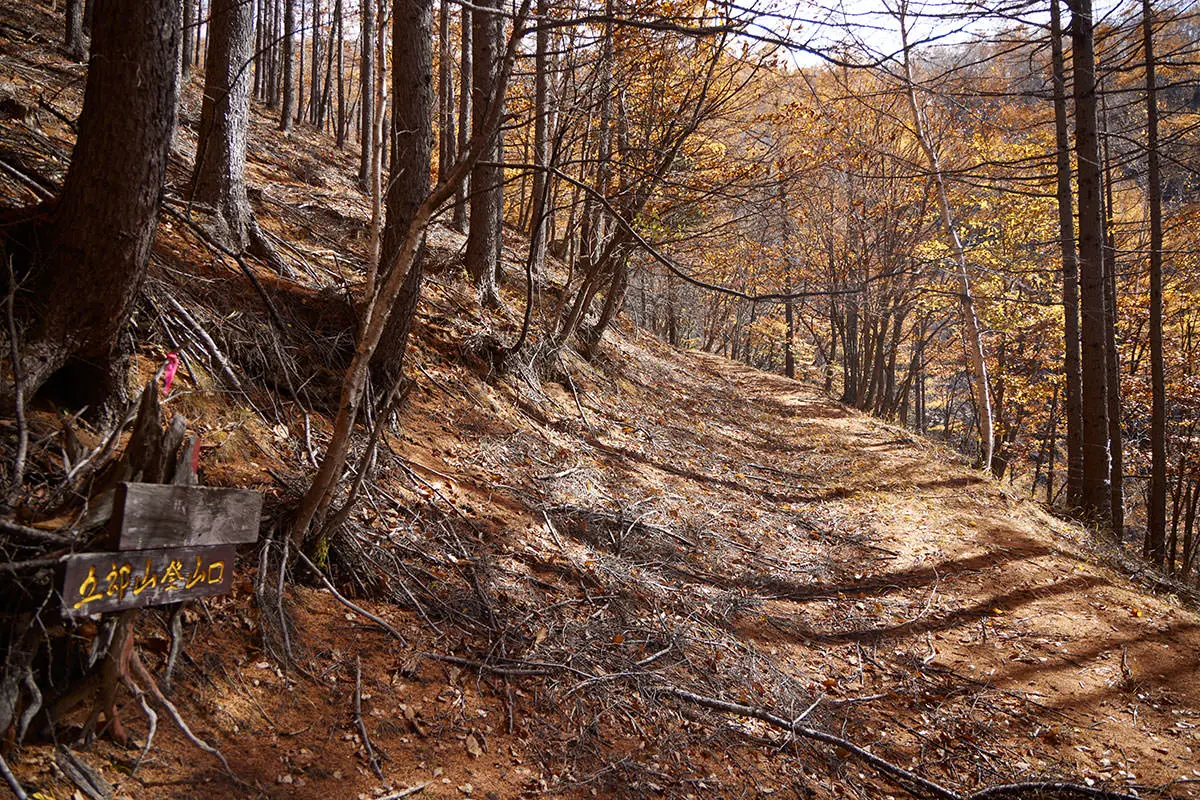 五郎山登山 林道を戻る