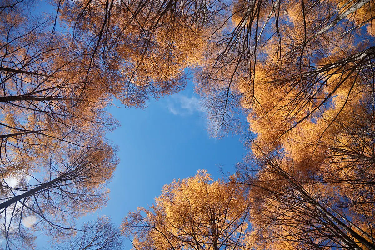 五郎山登山 空も晴れた