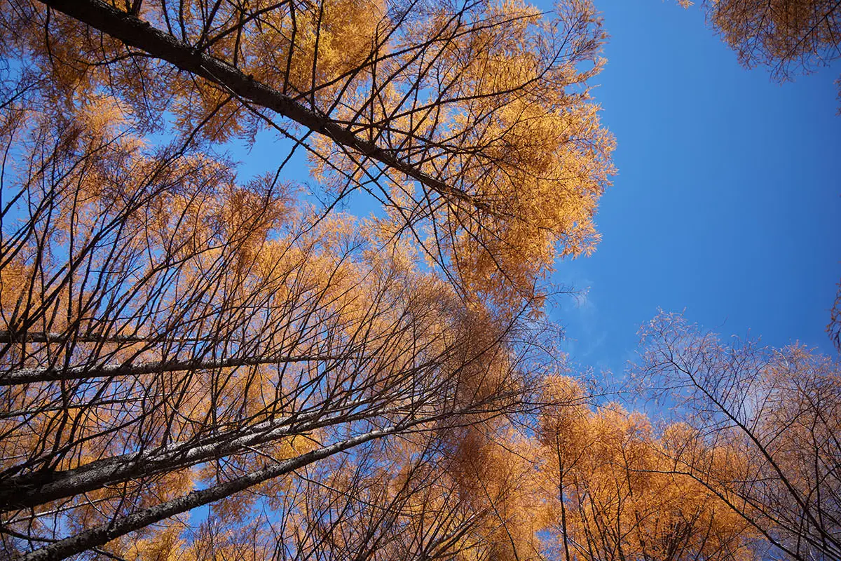 五郎山登山 下りてきたら晴れるパターン