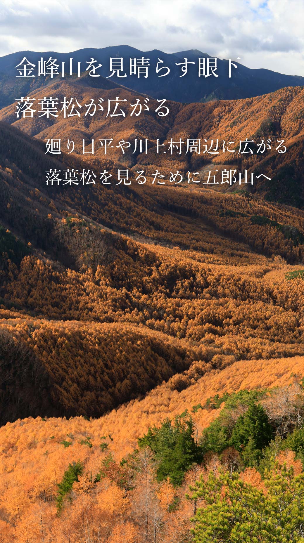 五郎山 自然休暇村