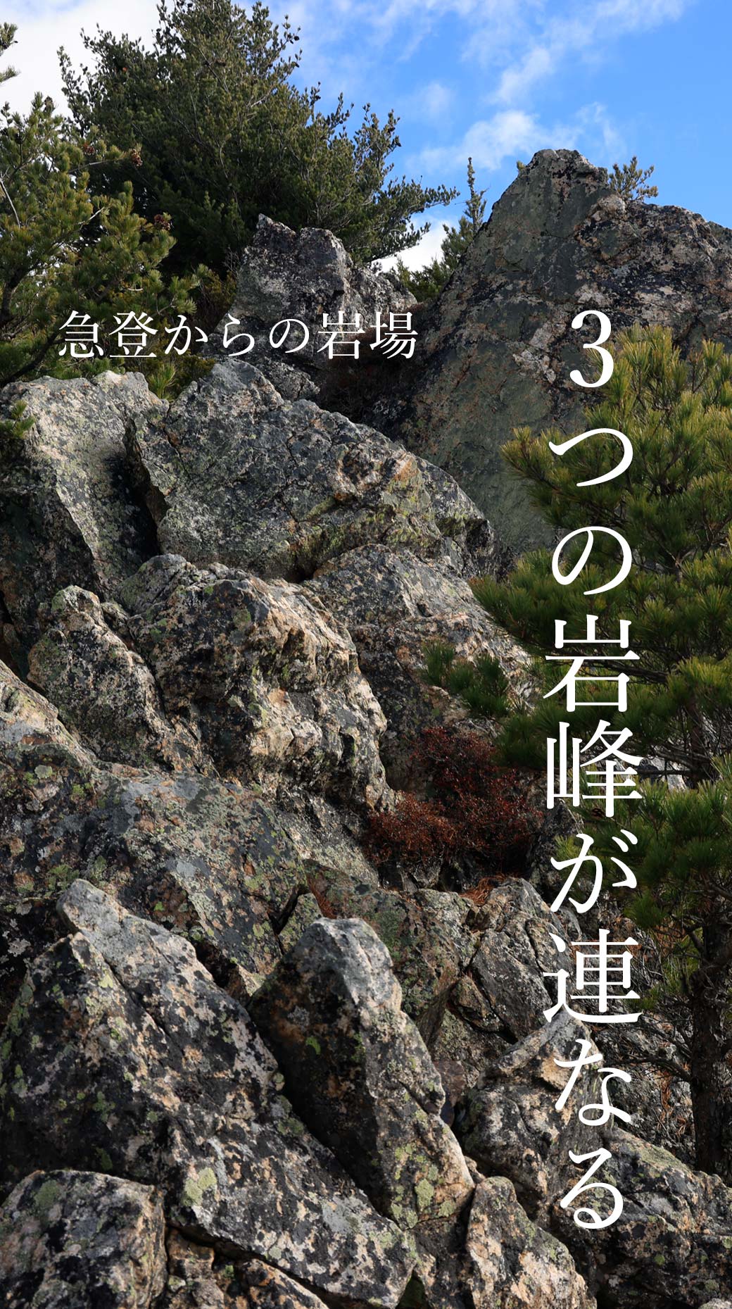 五郎山 自然休暇村