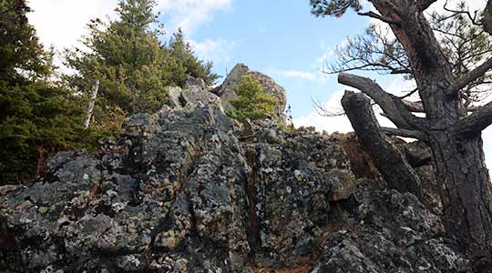 五郎山 自然休暇村