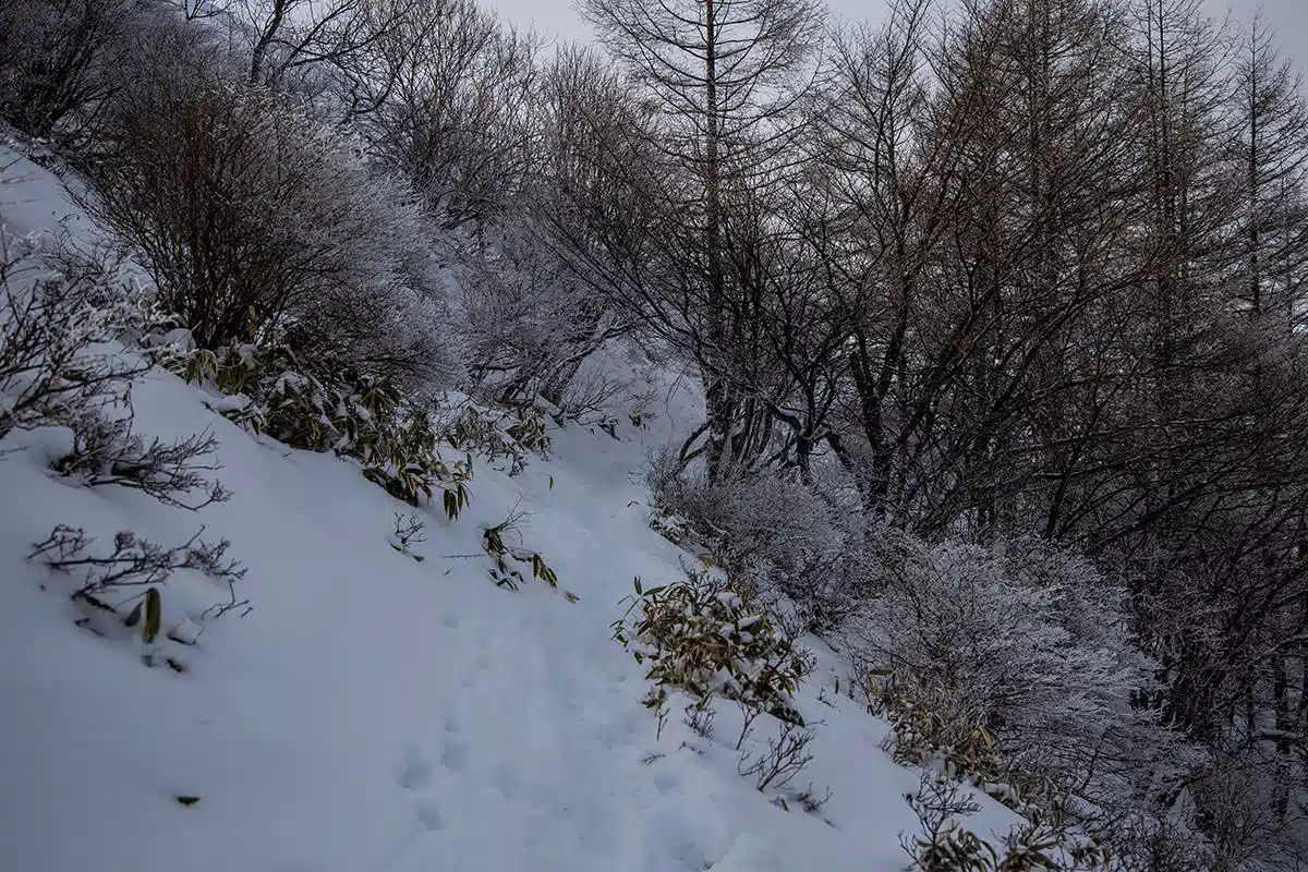鉢伏山登山 鉢伏山-新雪の斜面をトラバース