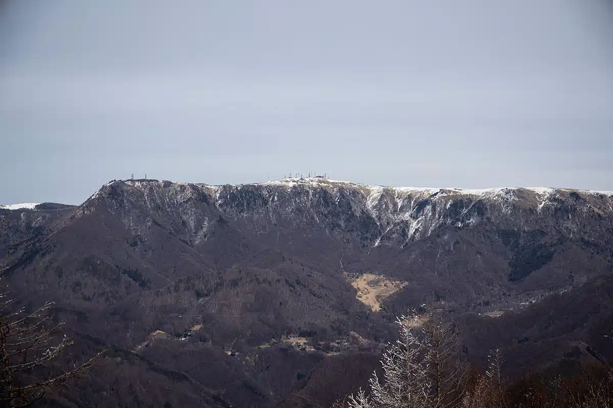 鉢伏山登山 鉢伏山-美ヶ原は冬らしい雰囲気が感じられない