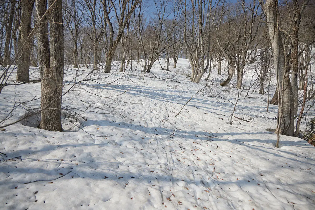 斑尾山登山 ざくざくの雪の斜面