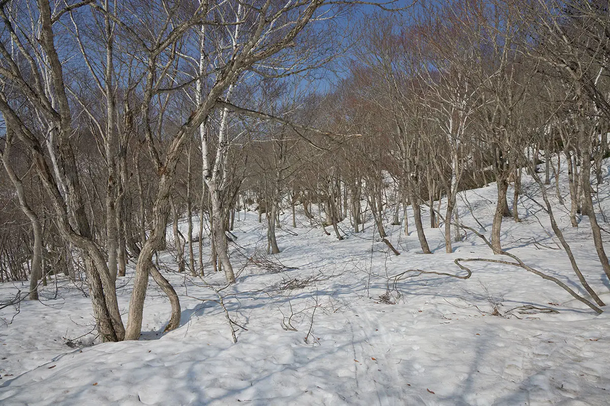 斑尾山登山 平らになった
