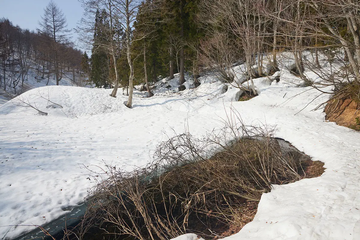 斑尾山登山 池の横を通る