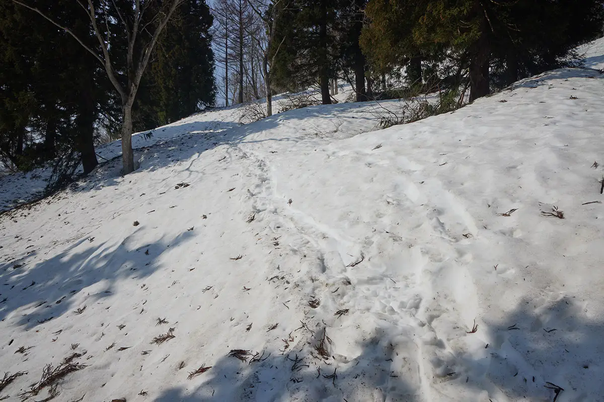 斑尾山登山 登る