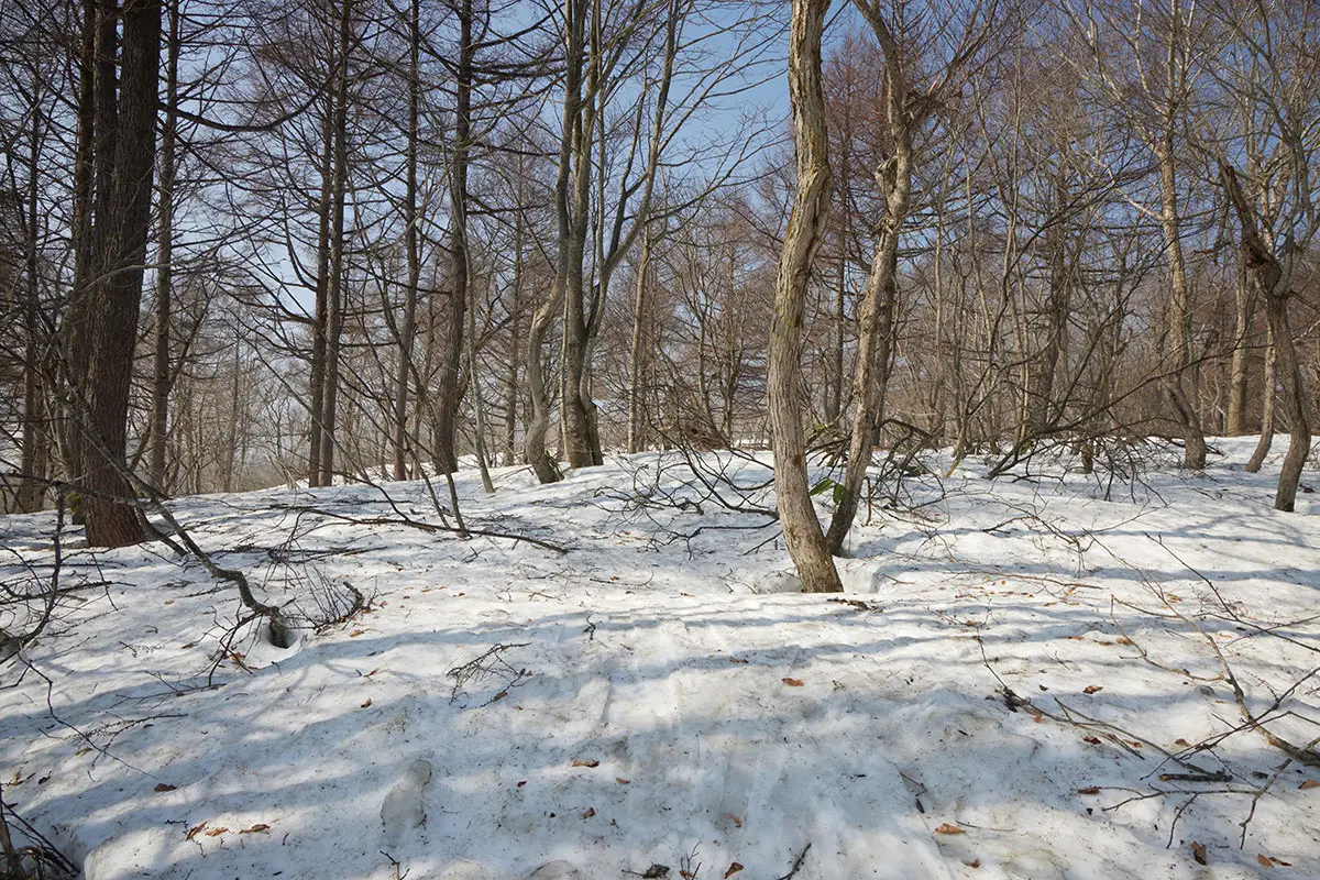 斑尾山登山 少し登って着いた前峰