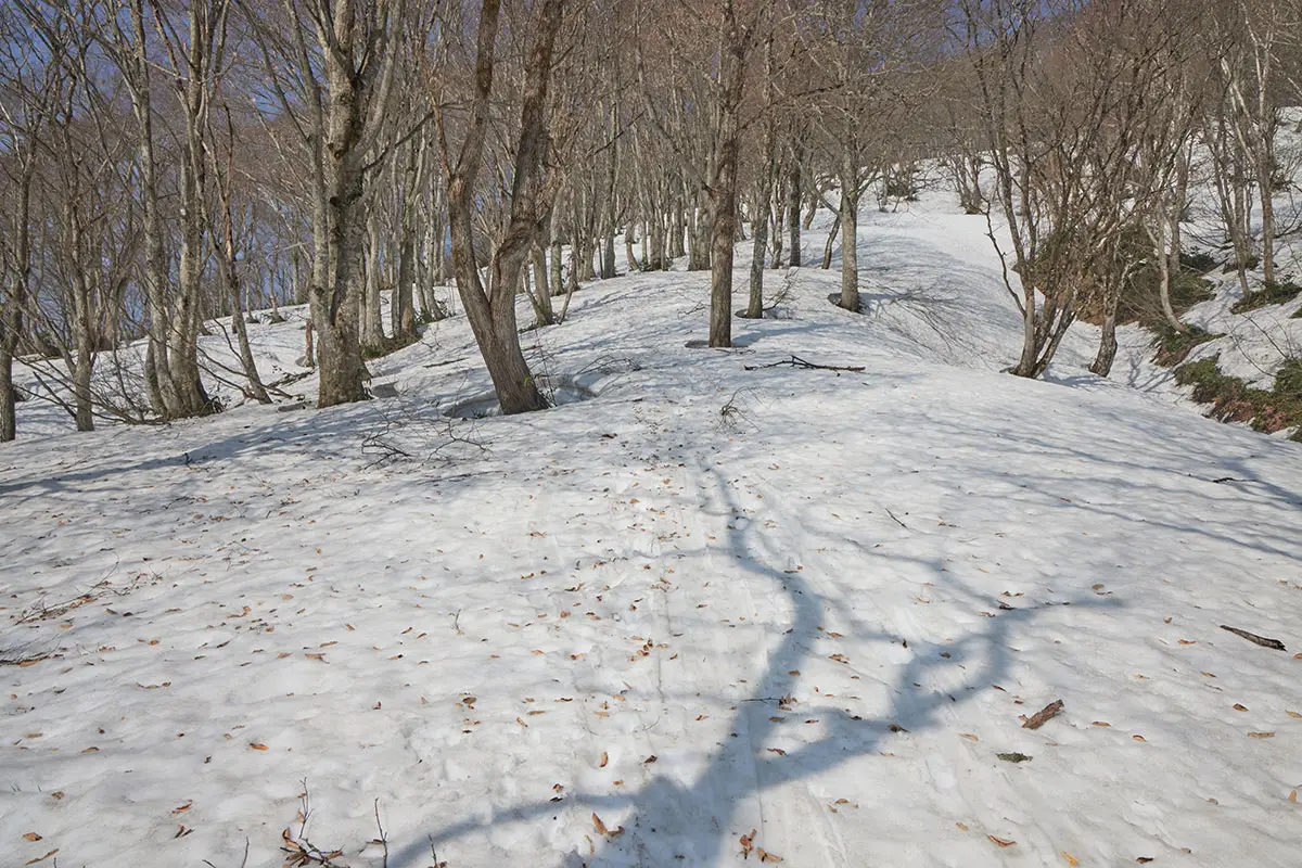 斑尾山登山 中峰へのけっこうな登り坂