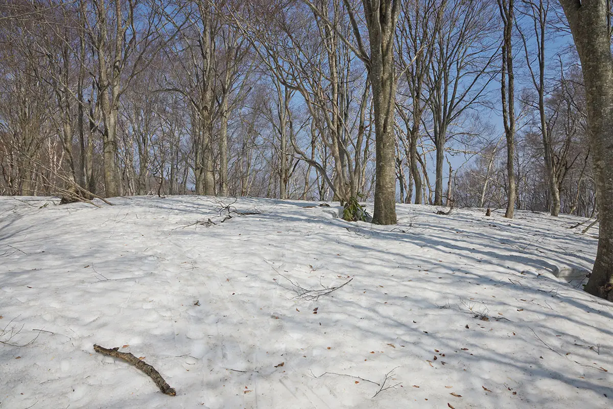 斑尾山登山 中峰に着いた