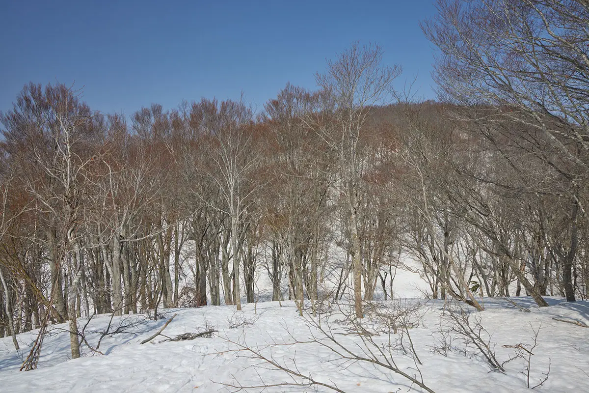 斑尾山登山 中峰を下りる
