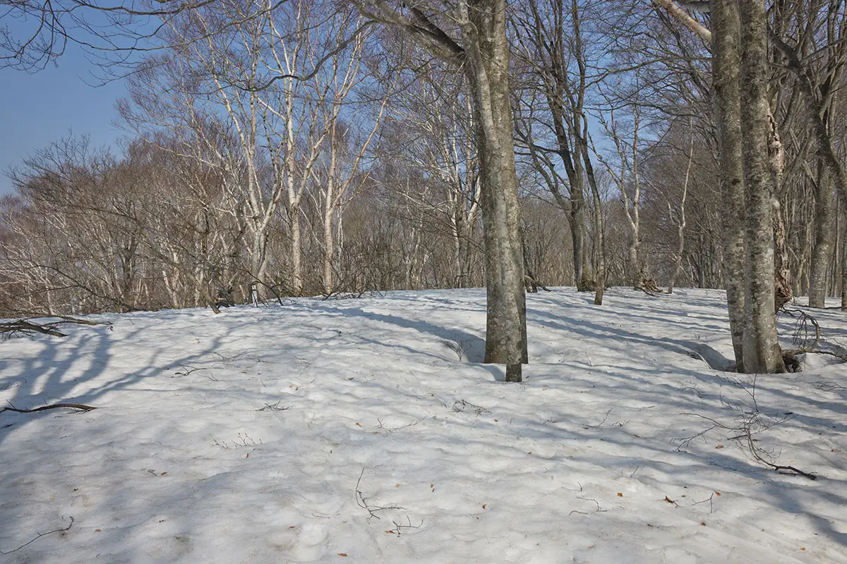 斑尾山登山 袴岳の山頂間近