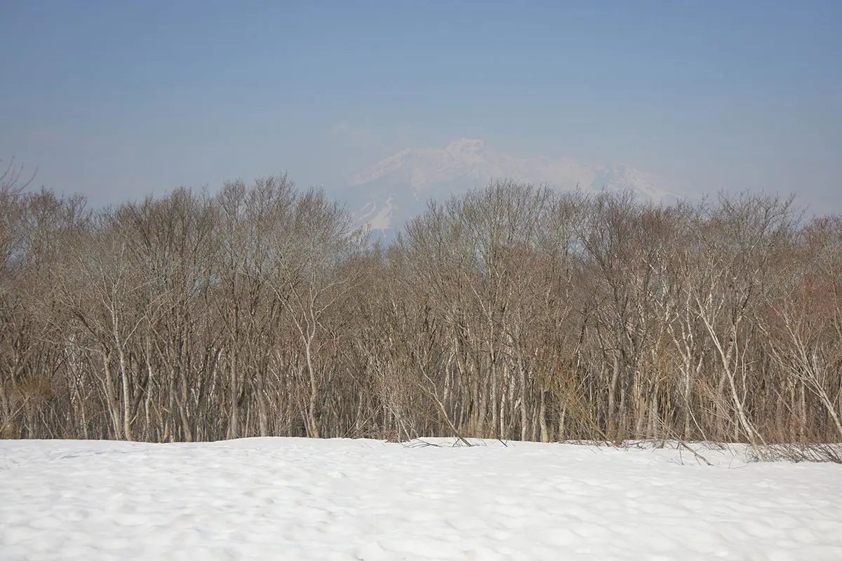 斑尾山登山 あの木を退けて欲しい