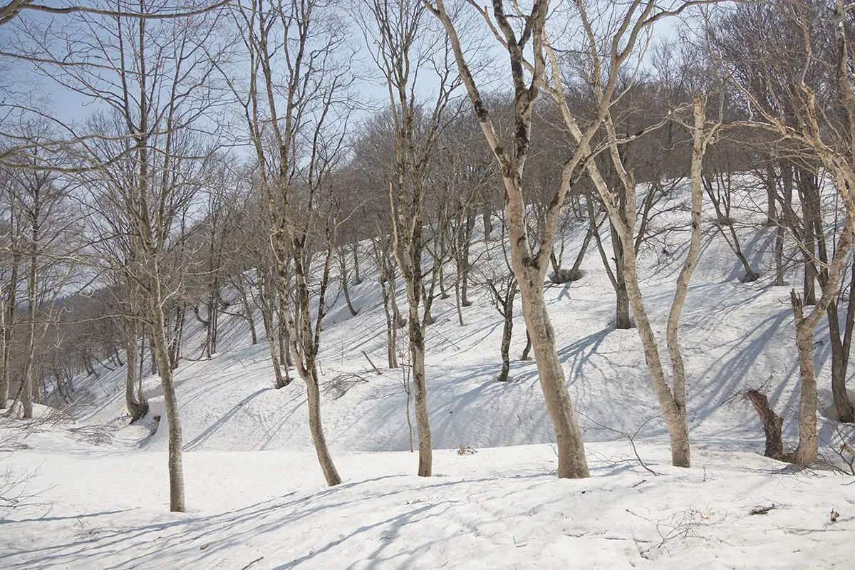 斑尾山登山 下りる