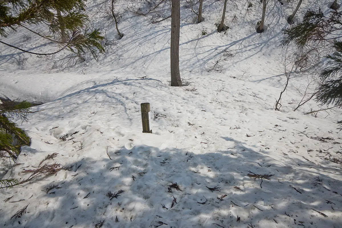 斑尾山登山 万坂峠への分岐点