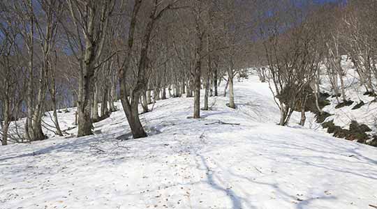 袴岳 飯山斑尾新井線