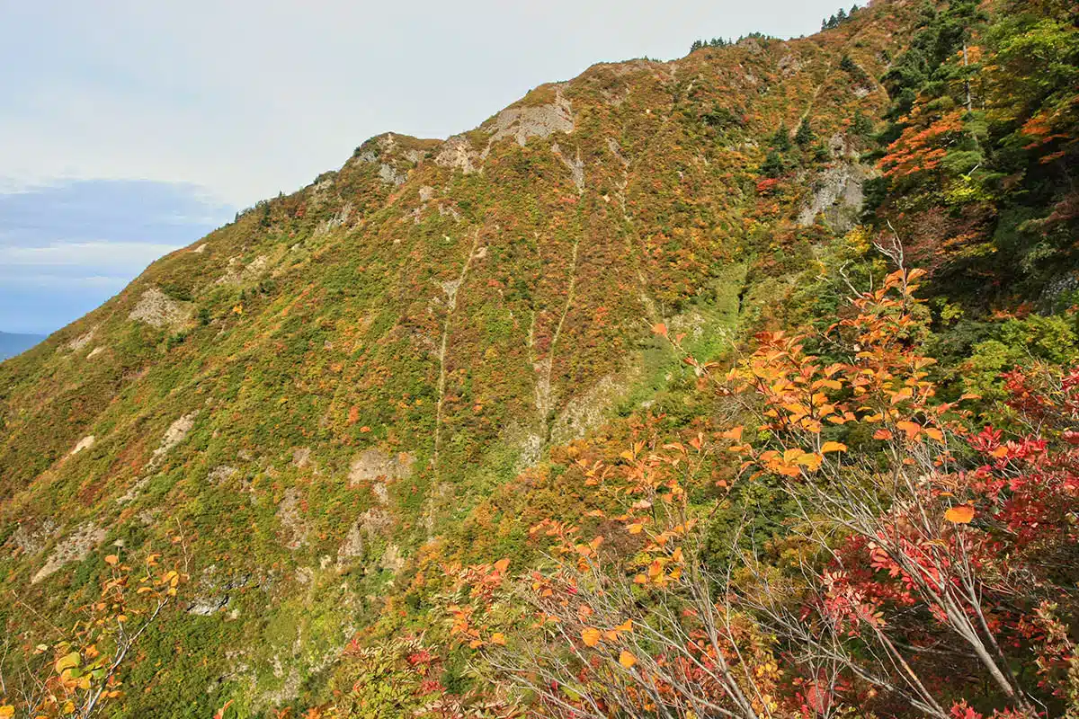 八海山登山 八海山-紅葉が良い感じ