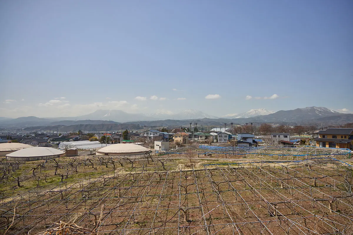 箱山登山 序盤から中野市街地を振り返る