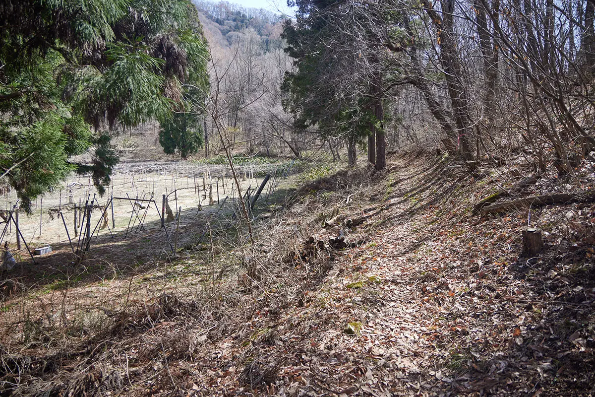 箱山登山 近くに畑とか農道とか