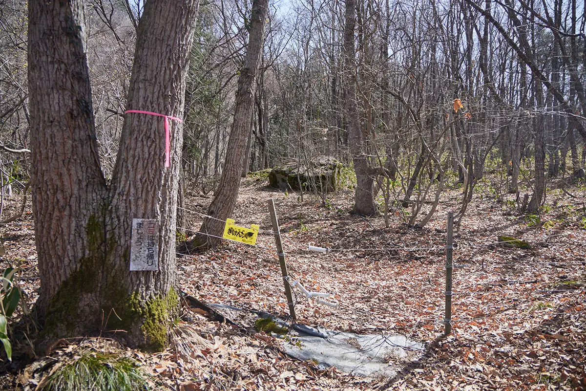箱山登山 電柵を越える