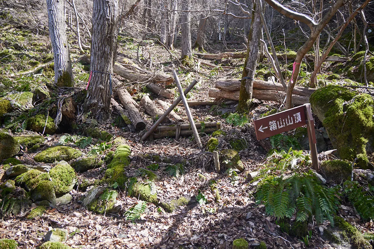 箱山登山 なんだか塞がれている