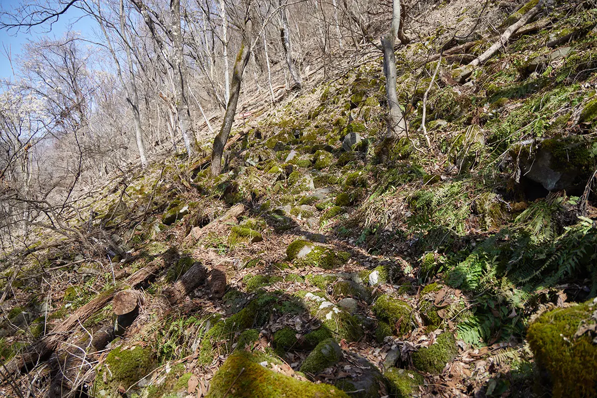 箱山登山 斜面にはたくさんの石