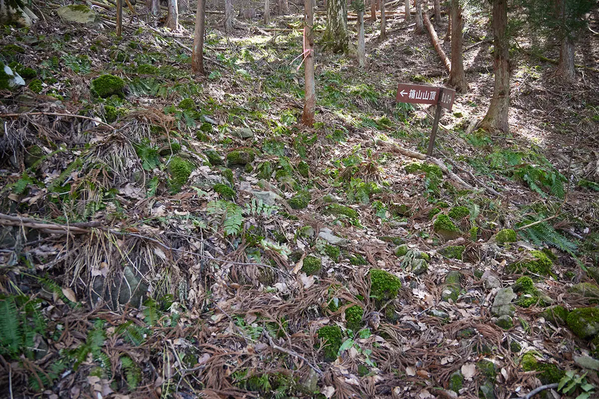 箱山登山 右へ左へと折り返す