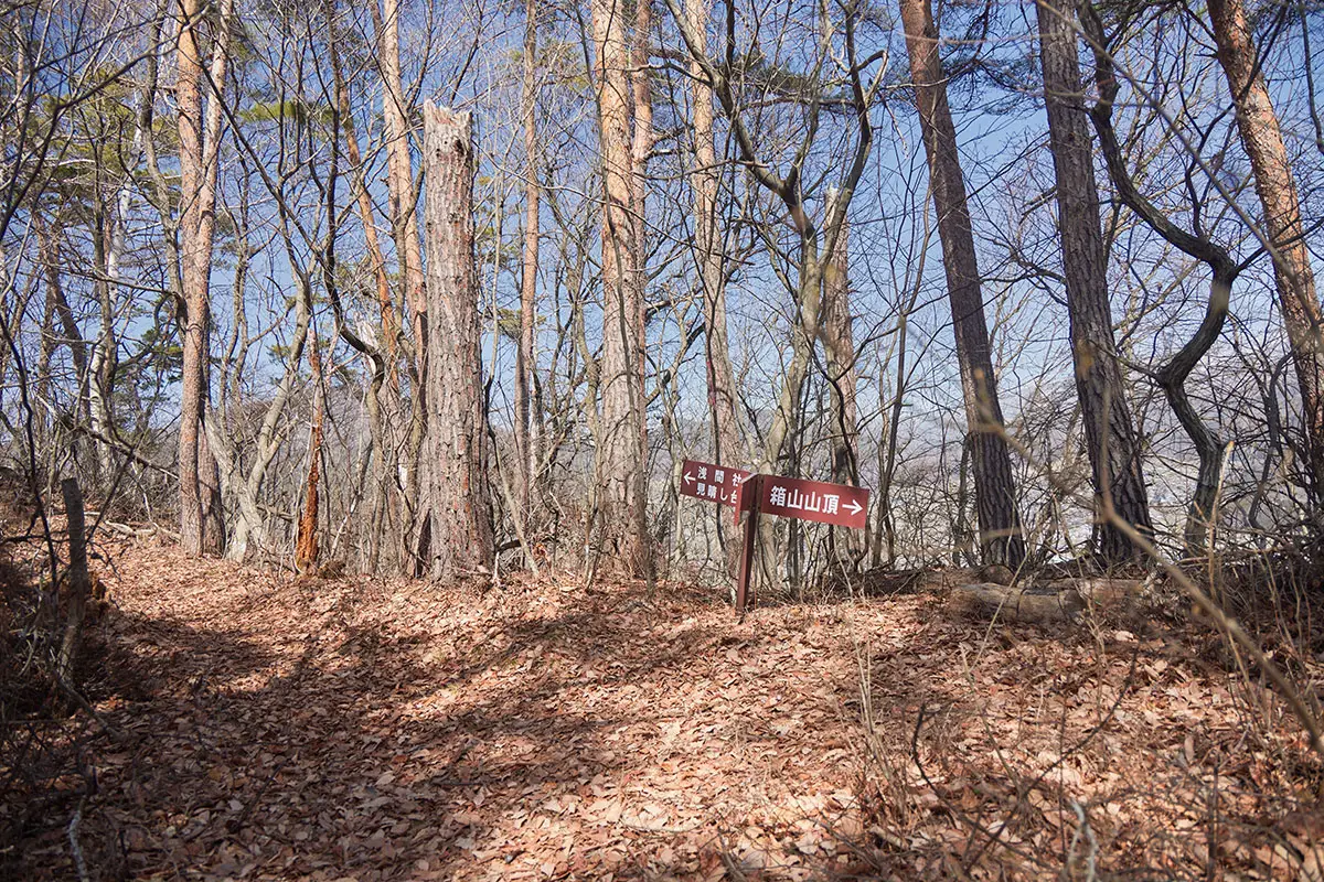 箱山登山 浅間社と山頂の分岐