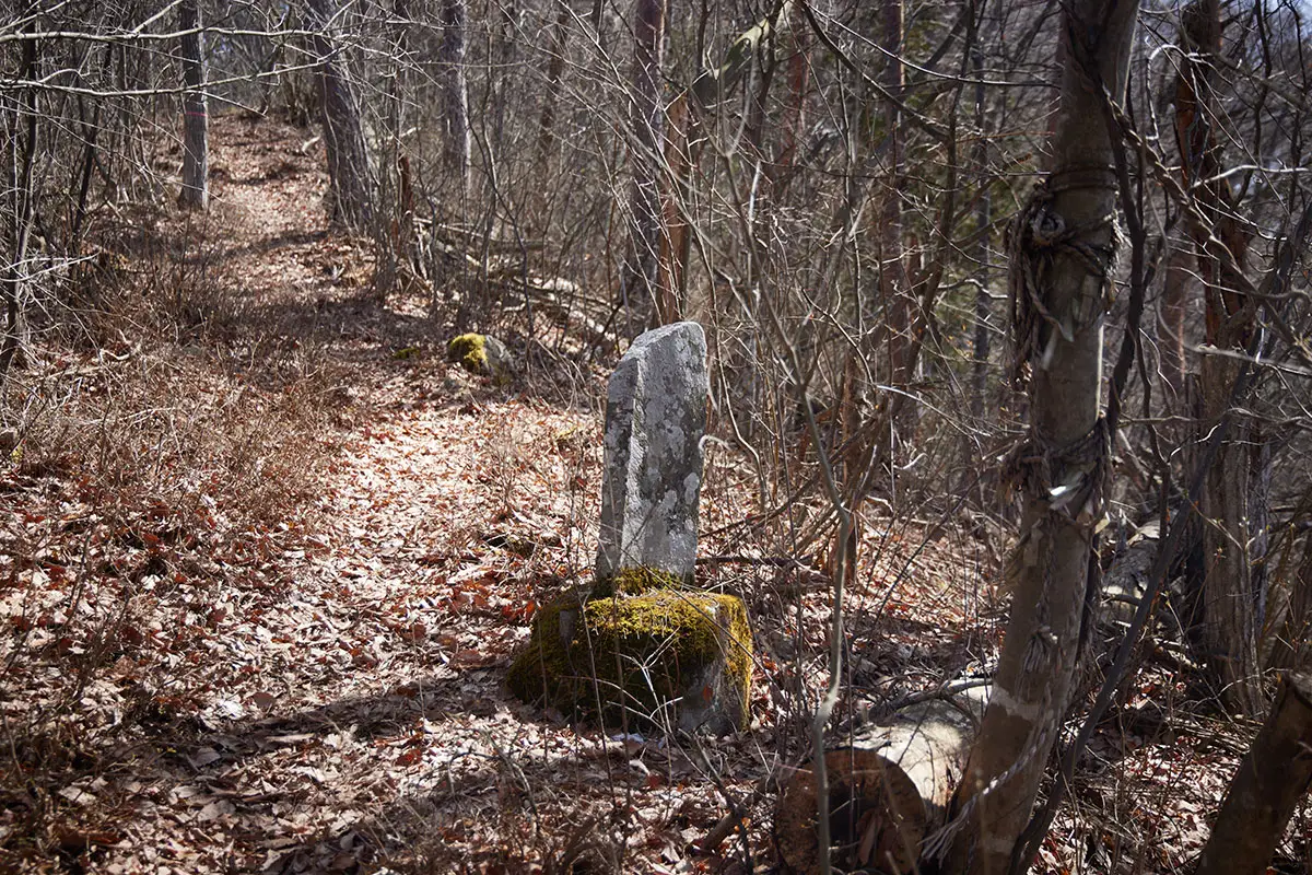 箱山登山 山頂との分岐点に戻ると石碑が建っている