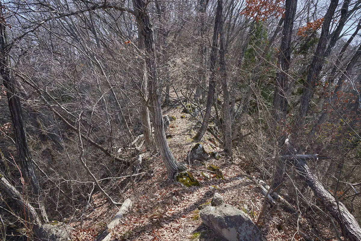 箱山登山 山頂に向かって細尾根